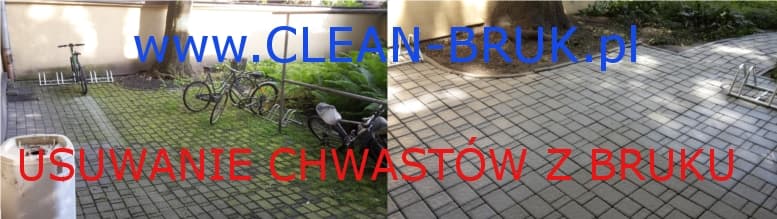 usuwanie mchu i chwastów z chodników w Krakowie